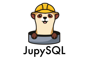 JupySQL logo